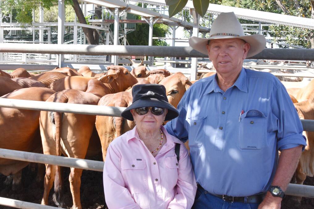 Ian & Lorraine O'Shannessy, Clermont, sold Brahman cows to 258c/kg, weighing 597kg to make $1541/hd, also selling brahman weaner steers for 286c/kg for 305kg to make $875/hd. Picture: Ben Harden 