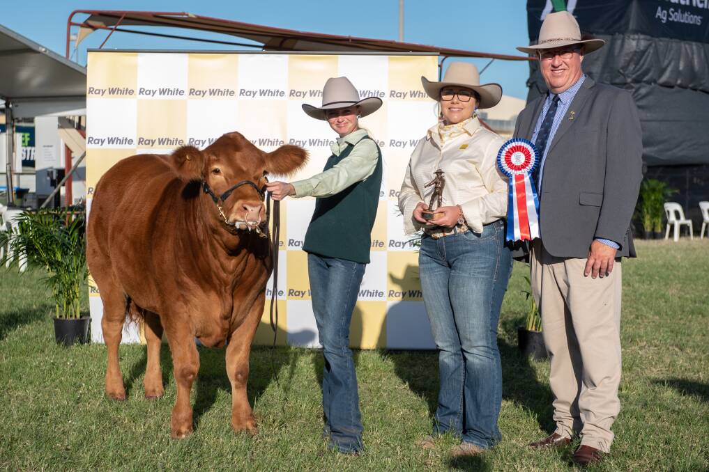 LED STEER CHAMPION: Limousin steer Sapphire, with Proston State School P-10 student Jessica Jackson, with led steer over judge, Jeff House, Forbes. Picture: Emily Hurst