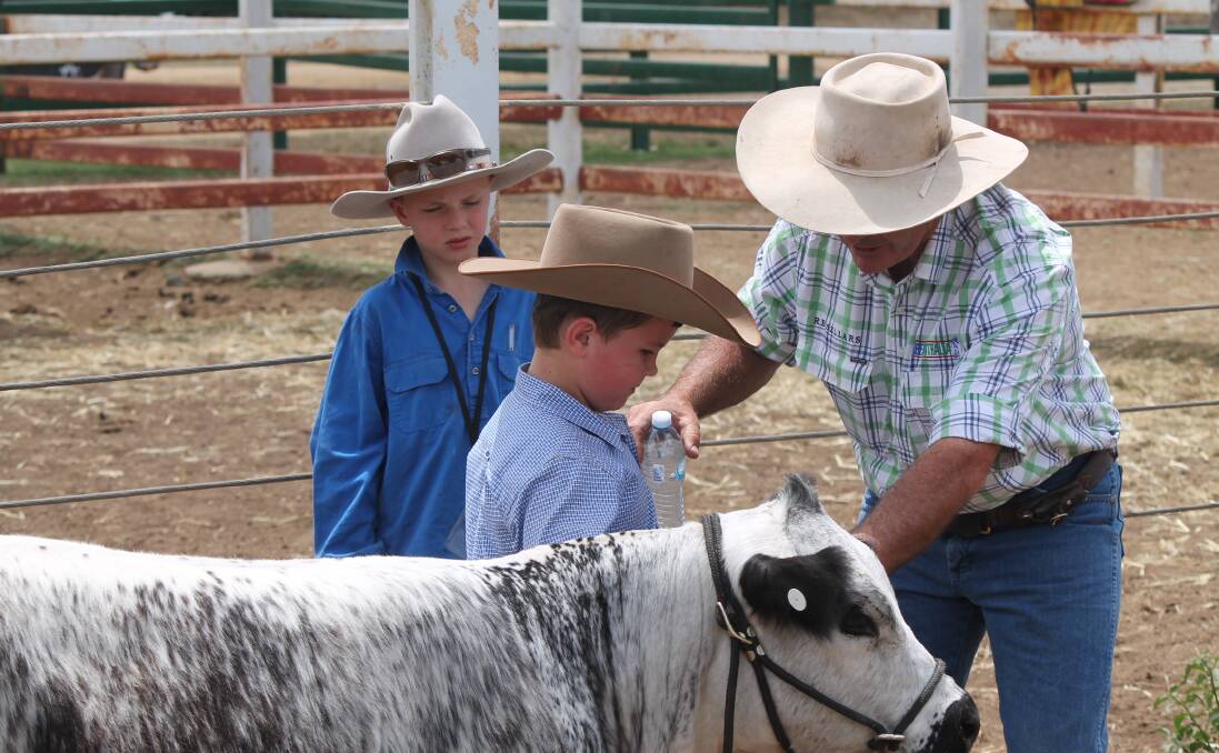 Brett Coombe, Roxborough Brahmans, Moura, Chairman of the Junior beef show, teaches Trey Lawrie valuable lessons in handling and parading cattle in the ring.