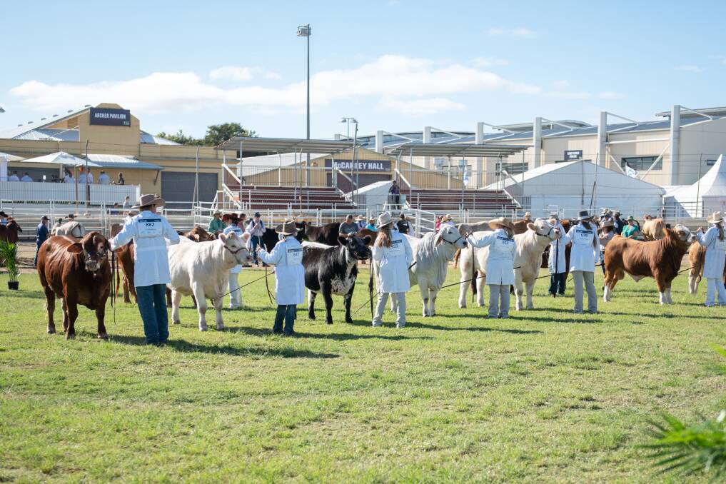 Beef Australia has long been an opportunity of a lifetime for young competitors to incorporate skills and lessons learnt in the classroom, back into the show ring.