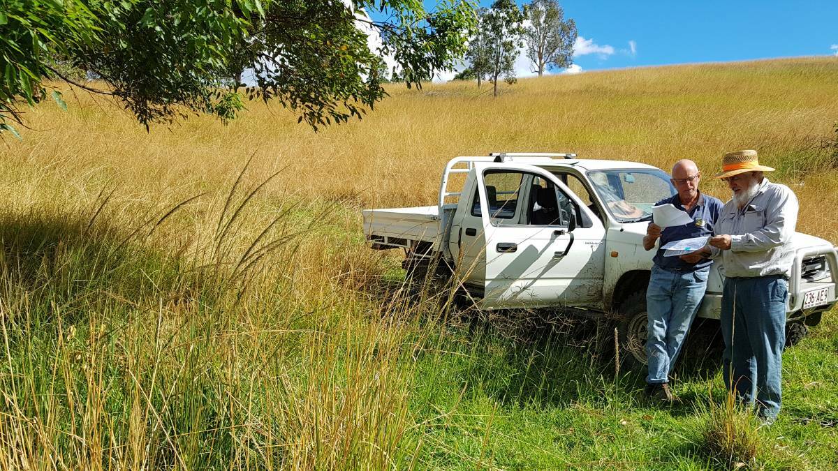 Summer rain and shortage of herbicides has allowed for subtropical grass invasion across south east Queensland. Photo: Ag Force
