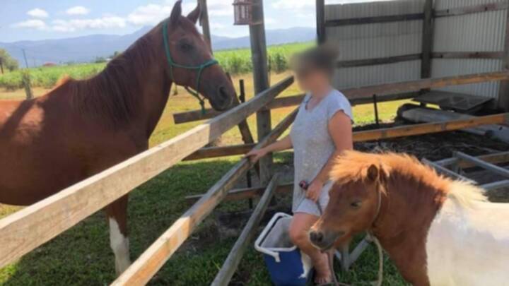 Witnesses ran to aid of the Quarter Horse named Solar (left) and managed to fend off the dogs, but the extent of the injuries sustained led to the horse being euthanased. Picture: Facebook