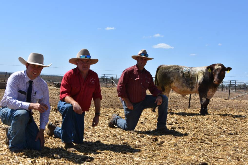 SALE TOPPER: Hoch and Wilinson auctioneer Jake Passfield, buyer Donald Burnett, Mount Douglas Pastoral Co, Mt Douglas Station, Clermont, Marellan Shorthorns stud principal Lincoln Job, with top price bull Marellan Wow Factor (P) who sold for $38,000. Photo: Ben Harden