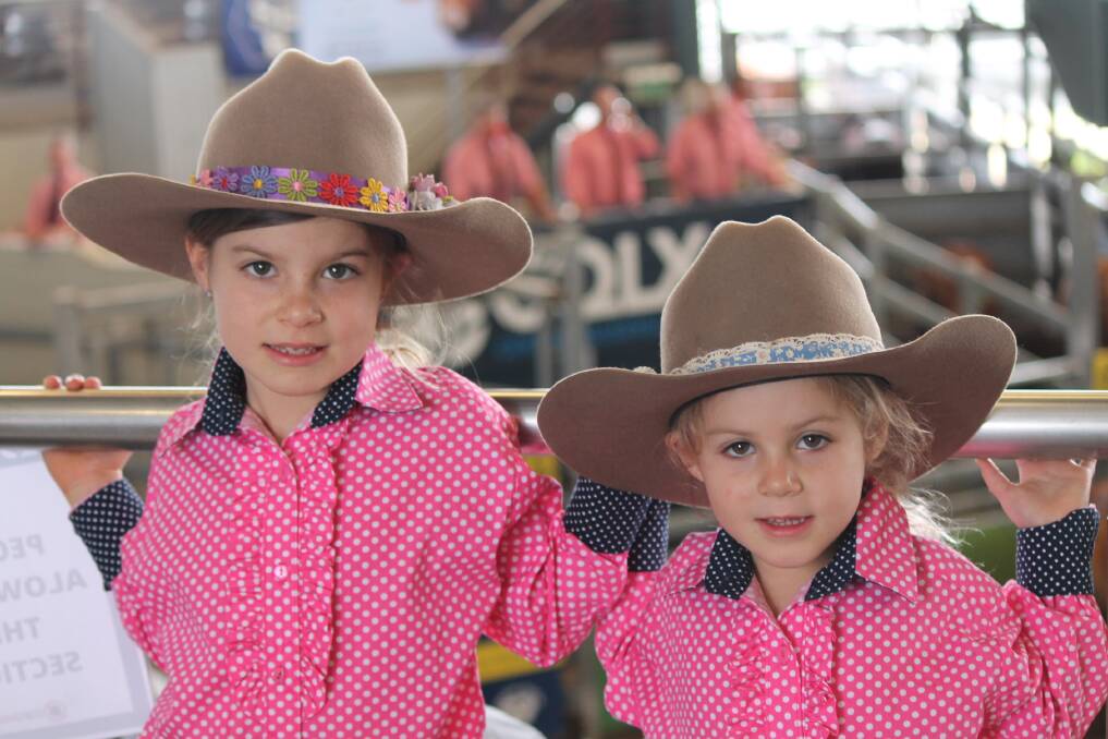 Faces from the CQLX National Droughtmaster sale in Gracemere.
