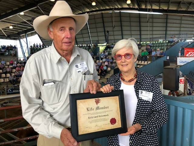 Ed and Carol McCormack were awarded a life membership to the Droughtmaster Society at the Droughtmaster National bull sale, held at the CQLX in Gracemere last week. Photo: Jenny Underwood, Eversleigh & Wallace Vale Droughtmasters.