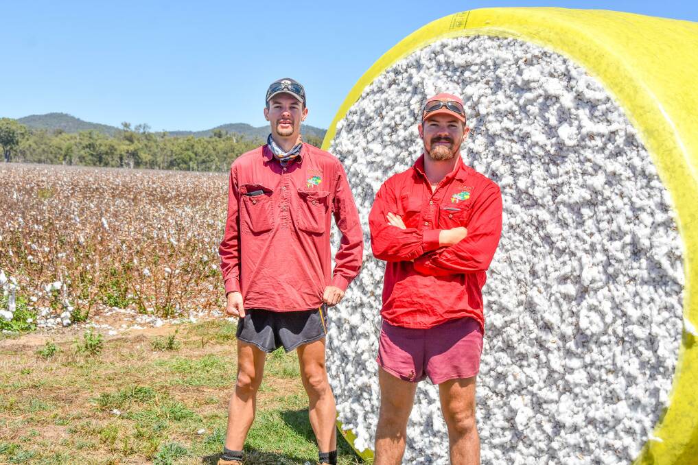 Brothers Dominic and Liam Reynolds, Redbend Farming, in a field of picked cotton at Mandalee Station, Innot Hot Springs in far north Queensland. Picture: Ben Harden