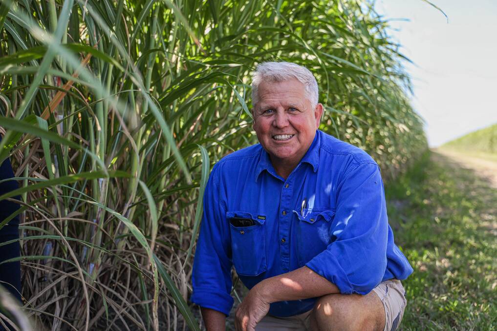 Strong foundation: A decision to access disaster recovery assistance after the 2019 floods is paying off for Burdekin cane grower Bruce Davies. Picture: Mad Dog Productions 