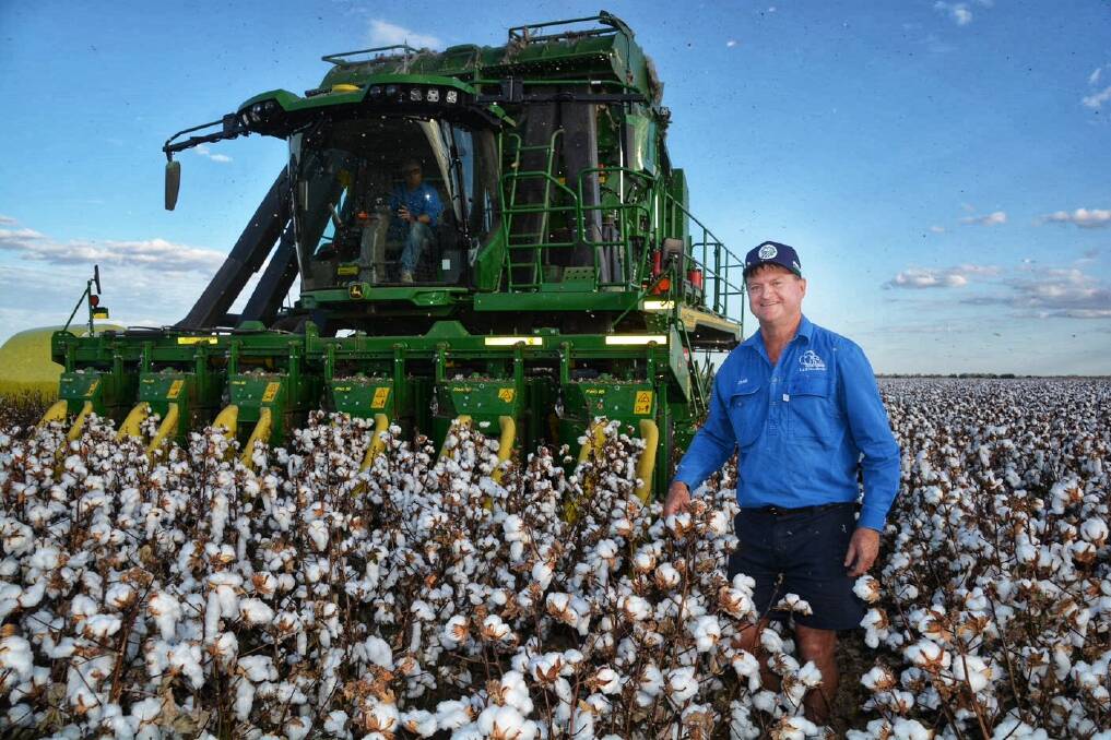 St George district cotton grower Craig Saunders, Plantation, in his cotton crop. Picture supplied by Sally Rigney 