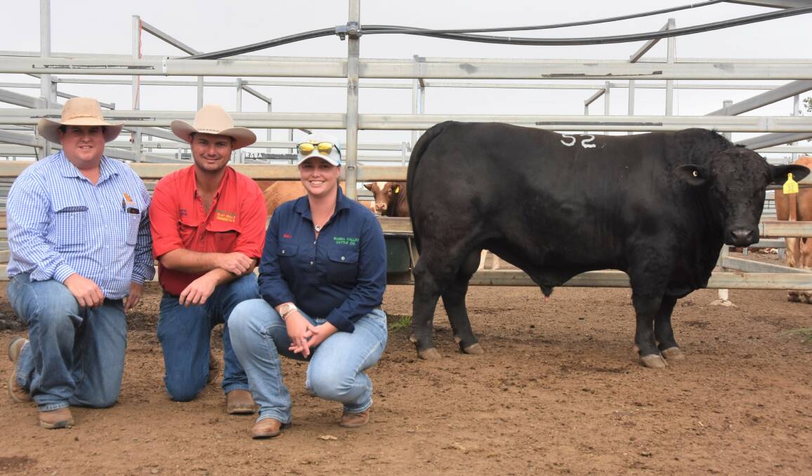 Top-price bull Biarra Valley Raphael (P), with livestock agent Joel Dawson, Brian Dawson Auctions, stud principal Gareth Laycock and Emily Brassington, Biarra Valley Stud, Esk. Picture by Ben Harden 