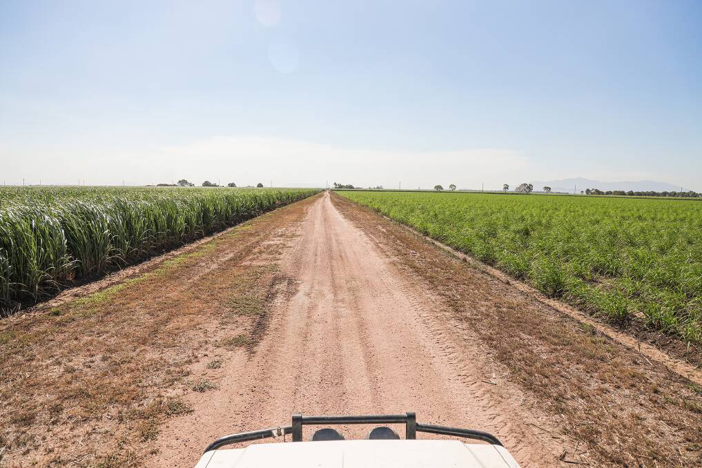 The Davies said the grant, administered through the Queensland Rural and Industry Development Authority (QRIDA) on behalf of the Australian Government, allowed them to get back to business. 