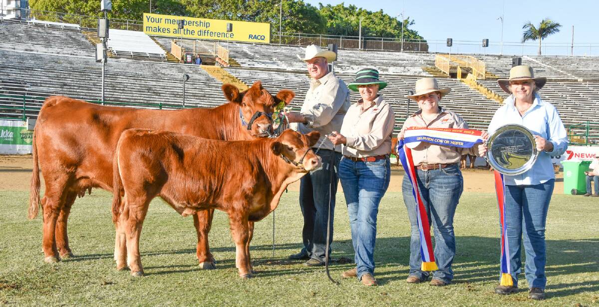 Grand champion Gelbvieh female Weetalabah Atlantis Q219, and bull calf Truck-Yeah, with handler John Carter and owner Julie Nixon of Weetalabah, daughter Aleacea, and Carole Johns, Guyra, former Gelbvieh Australia CEO. Pictures: Ben Harden 