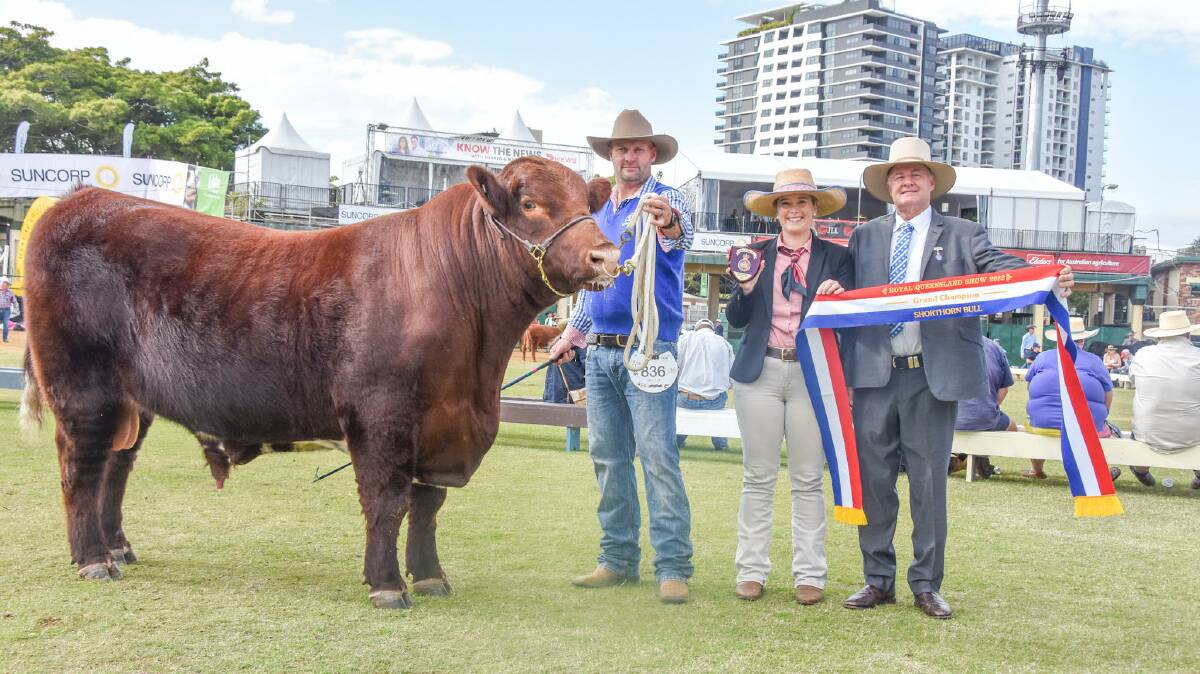 Grand champion Shorthorn bull Southern Cross Roger Ramjet, led by Trent Johnstone, Trojon Shorthorns, exhibited by Lonnie and Nick Stone, Southern Cross Shorthorns (not pictured), Elders Studstock's Eliza Connors, and judge Peter Falls. Pictures: Ben Harden 