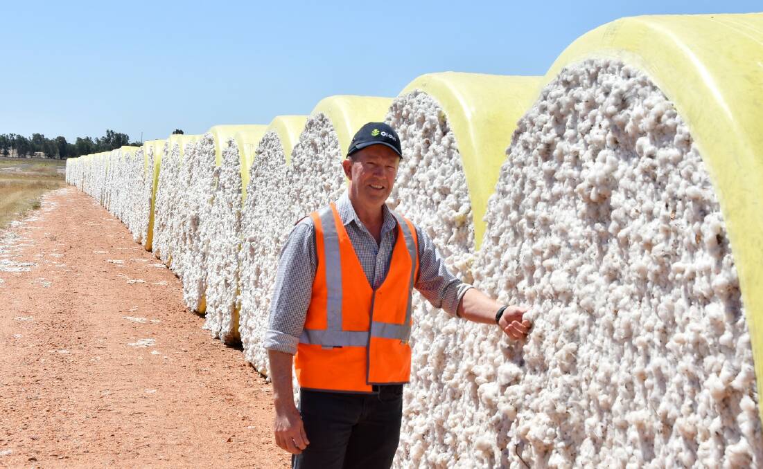 Queensland Cotton's Emerald gin manager Rick Jones is holding out hope for a bumper cotton harvest this upcoming season. Photo - Ben Harden. 