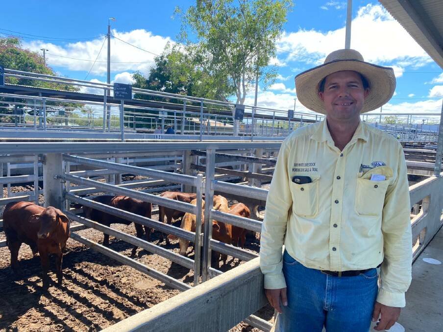 Trevor Humble, of Ray White Rural Gracemere, sold the Droughtmaster cross weaner steers which fetched 710.2c/kg, offered by Dean Wyatt and Nicole Marsh, Mt Martin. Picture: CQLX 