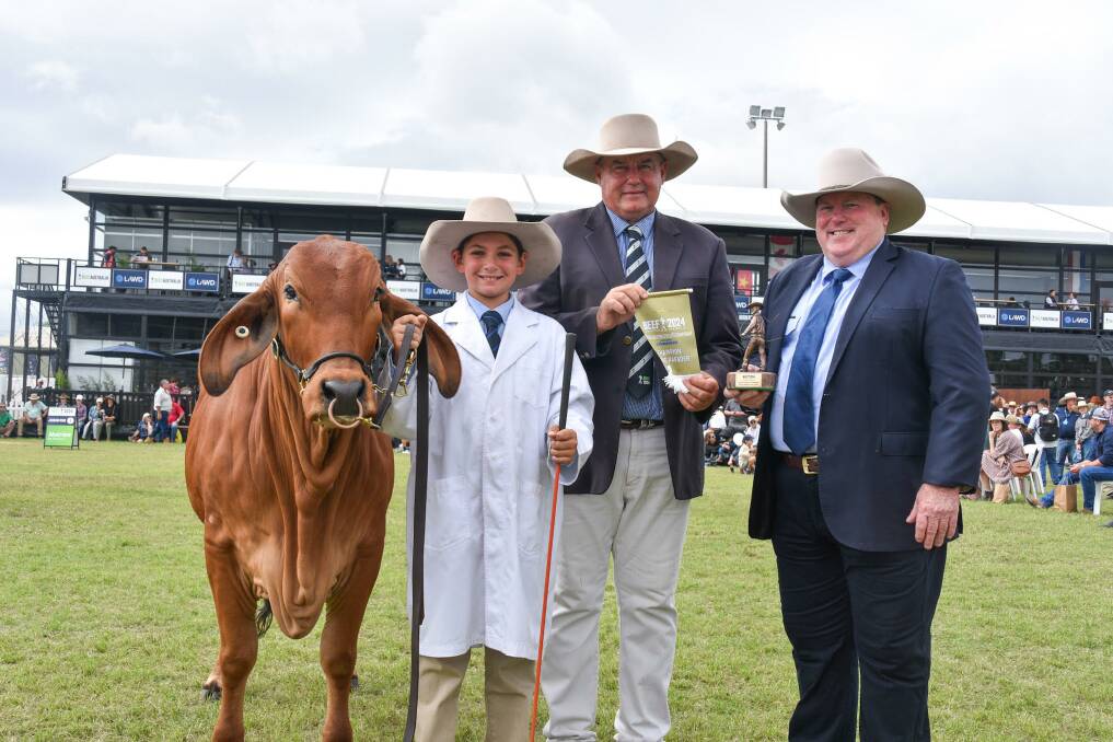 Beef 2024 champion parader George Streeter, 10, with his red Brahman heifer, Fairy Springs Estella, and judge Terry Connor, Timbrel Brahmans, Nine Miles, with sponsor Mark Peters, Datamars. Picture: Ben Harden 