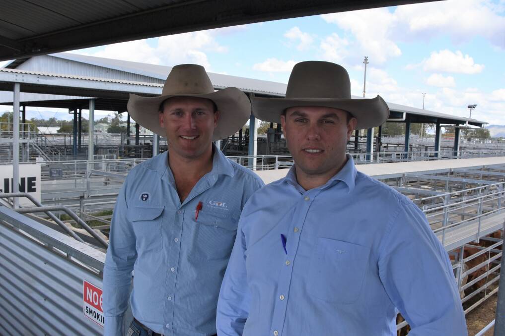 AN OPPORTUNITY TO BUY UP: SBB GDL auctioneer Josh Heck, Rockhampton, with James Kent, Ooline Brahmans, Goovidgen, at the conclusion of the sale. 