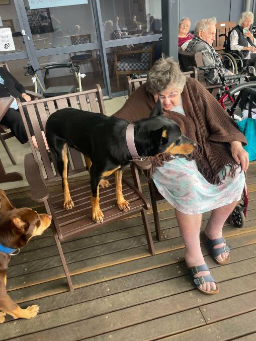 Muster Dogs champion dog Annie greeting one of the residents on Tuesday. 