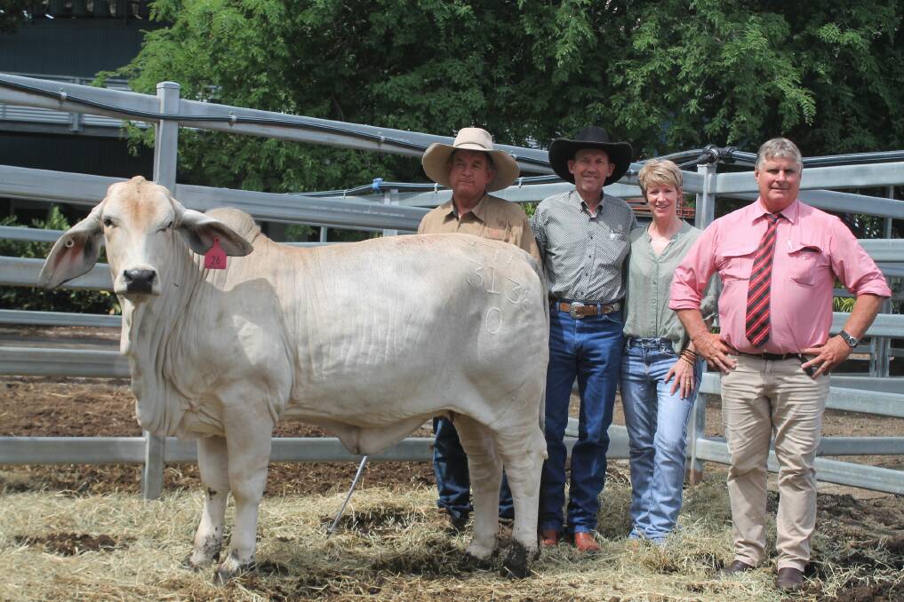 SALE TOPPER: Vendor Scott Angel, Glengarry Brahman stud, Kunwarara, buyers Nev and Megan Hansen, Oaklands Brahmans, Kalapa, and Elders' Brian Wedemeyer, pictured with top price female Glengarry S Miss Sugar 3138 (PS), who sold for a cracking $32,000 on Saturday. Picture: Ben Harden