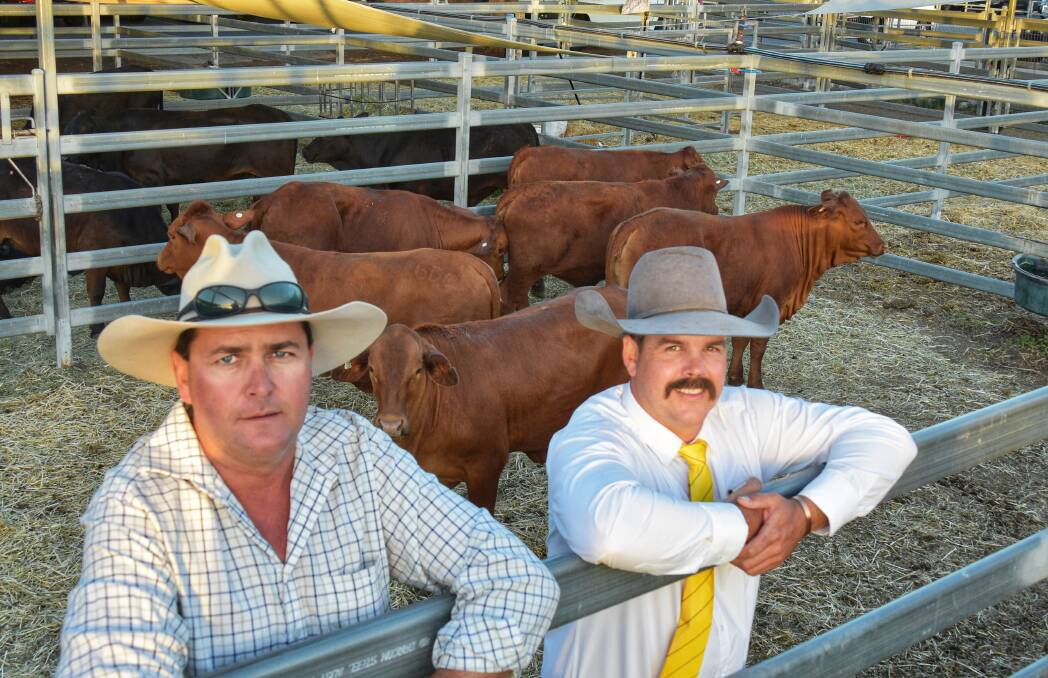 Vendor Tim Dwyer, Burrumbush stud, Goovigen, and Ray White Livestock's Matthew Olsson, with the Red Brangus heifers which sold for $1200 per head. Picture: Ben Harden 