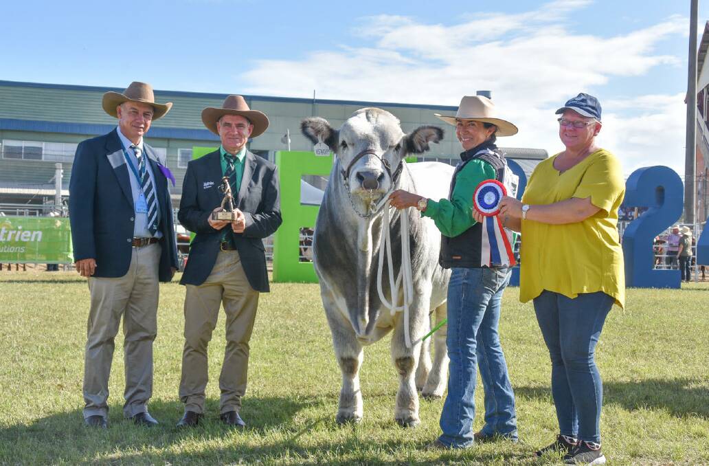 Grand champion male, RBG Theodore, exhibited and led by Anna Ahern, Romagnola Beef Genetics, Roma, pictured with judge Shane Bishop, Nutrien's Mark Scown, and Denyss Alers, Quinbrook Romagnola stud, WA. Picture: Ben Harden 