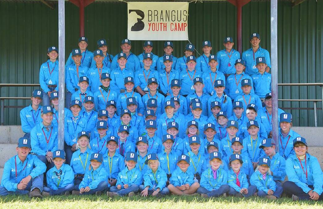 Next generation handlers: The 2021 Brangus Youth Camp in Biloela attracted 73 passionate young handlers from across QLD and NSW wanting to understand more about the cattle industry. 