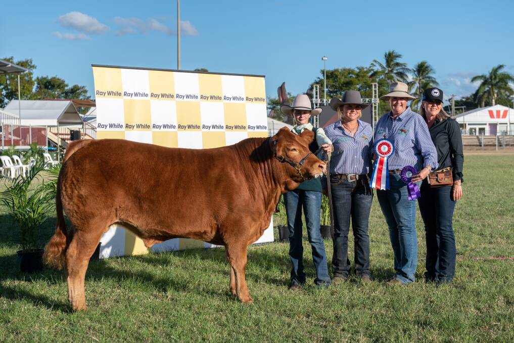 Limousin steer Sapphire led by Proston State School student Jessica Jackson, ag assistant Mikaela Ross and ag teacher Katrina Hayward, with Barb Madden, Smithfield Cattle Co. 