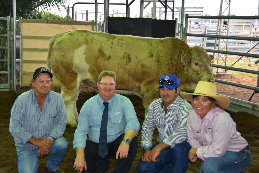 GDL auctioneer Mark Duthie, with buyers George and Clayton Bartolo, Carrinyah Pastoral, Nebo, and vendor Elisabeth Skene, Meldon Park Simmental stud, Cecil Plains, with record-breaking top price bull Meldon Park Q52 (P). Picture: Ben Harden 