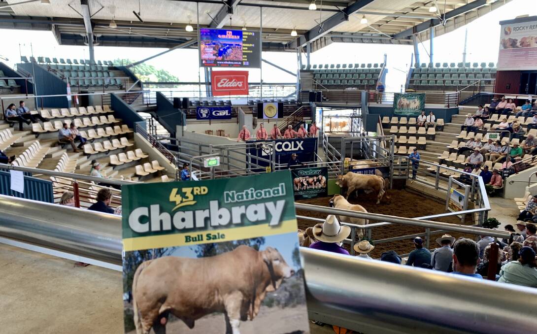 54 Charbray bulls went under the hammer at the annual Charbray sale held at the CQLX in Gracemere on Monday.