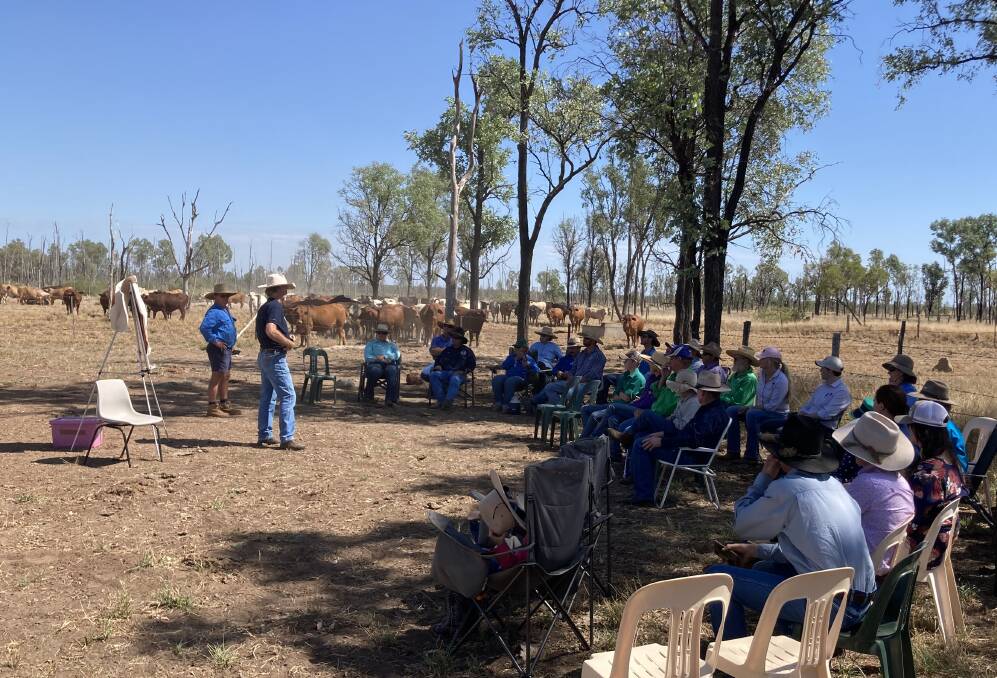Girl Power Project: The heifer and forage field day at Monklands, north of Jericho, attracted around 40 central west producers looking for insights. Photo: Zach Moore