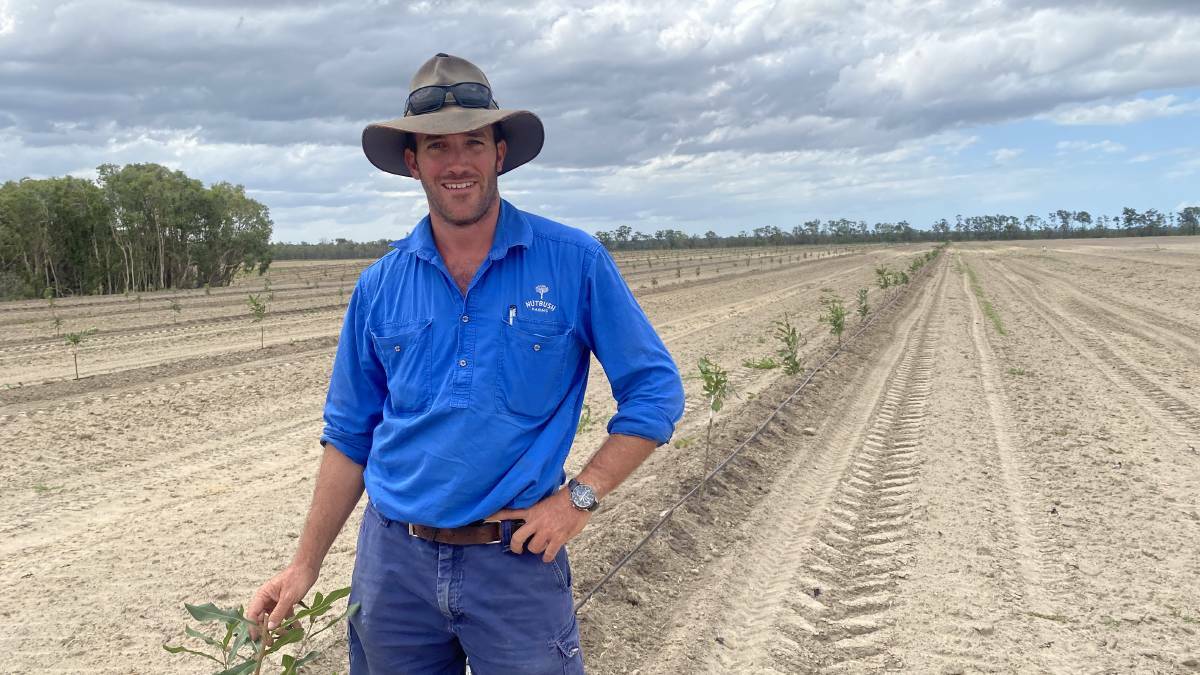 Bundaberg macadamia grower Michael McMahon backs the class action against the government. Supplied, Greg McMahon. 