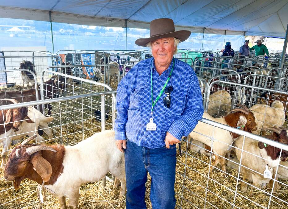 Emerald's Tony O'Brien of Daytona, exhibited 13 of his commercial meat boer goats at the recent Springsure goat show last Saturday. Picture: Ben Harden