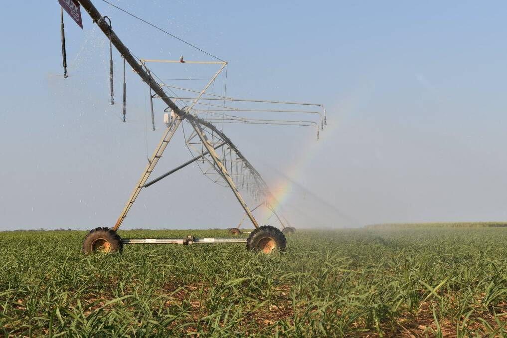 Queensland's peak sugarcane growers body is calling for a large rebate to be available to all irrigation operations. 