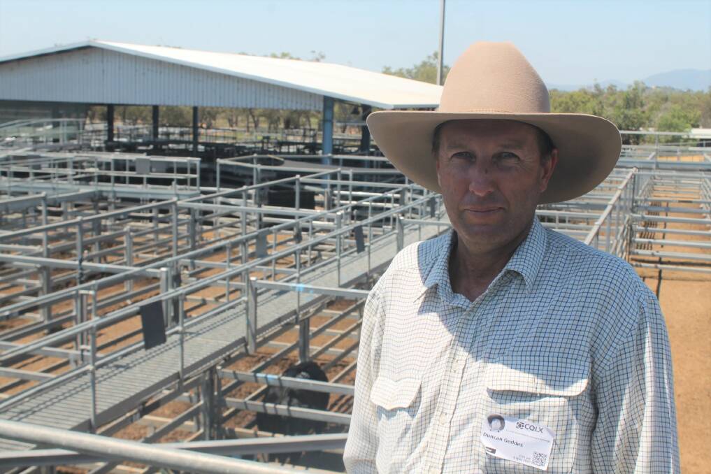 CBC sale coordinator Duncan Geddes, Telemon Brangus, Springsure, said better seasonal conditions contributed to the sale's increased averages and clearance percentage. Photo: Ben Harden