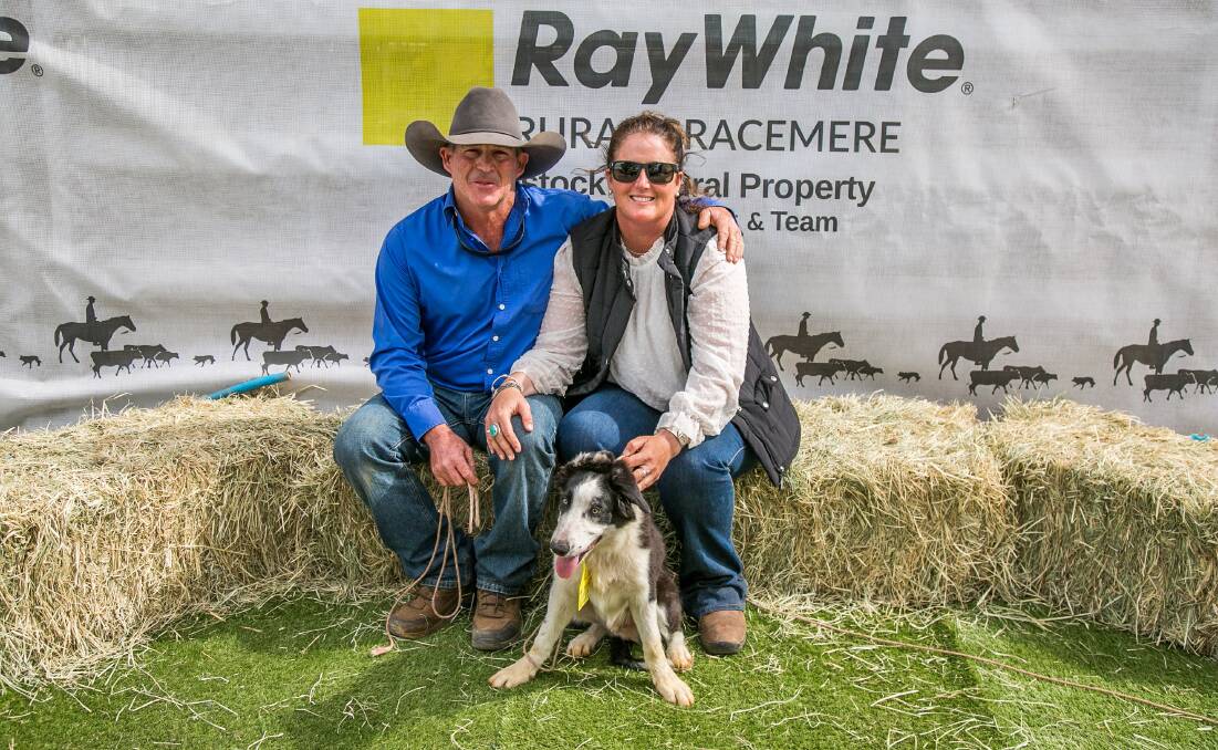 Top selling pup, Addy's Jazz sold for $16,000, and is with vendor Marty Addy and Emma Sutherland, Rolleston. Picture by Jodie Humble 