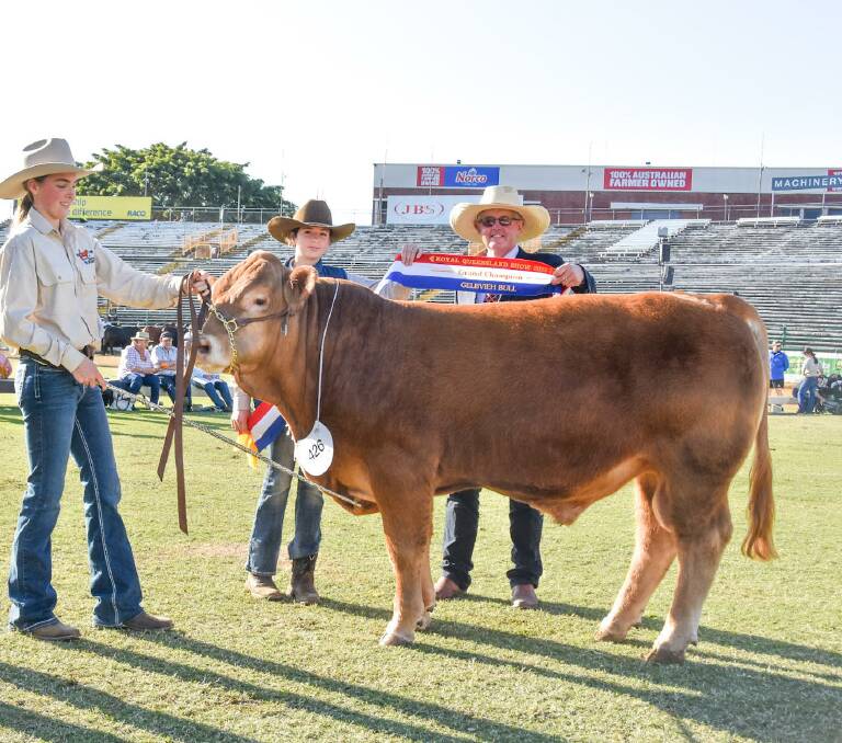 Grand champion Gelbvieh bull, Louanneley Scooter, exhibited and led by Kael Thompson, 15, of Louanneley Gelbvieh, with sister Keelee, 12, and judge David Bolton, Congupna, Victoria. Picture: Ben Harden 