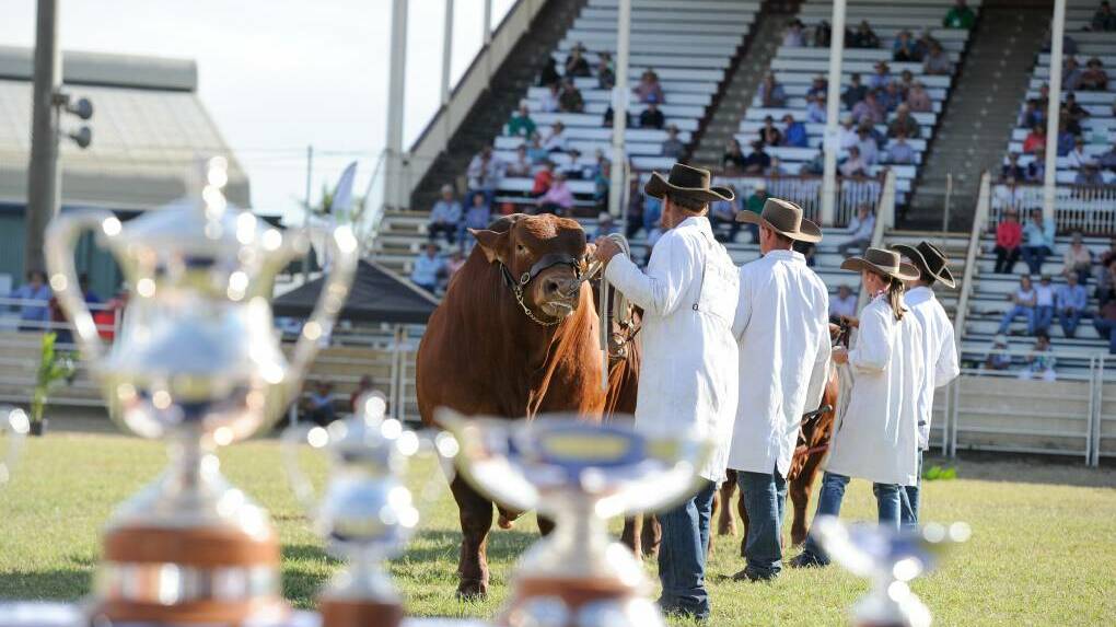 Beef 2021 attracted in excess of 115,000 visitors through the gates despite the challenges faced with delivering an event under COVID guidelines. Picture: Lucy Kinbacher 