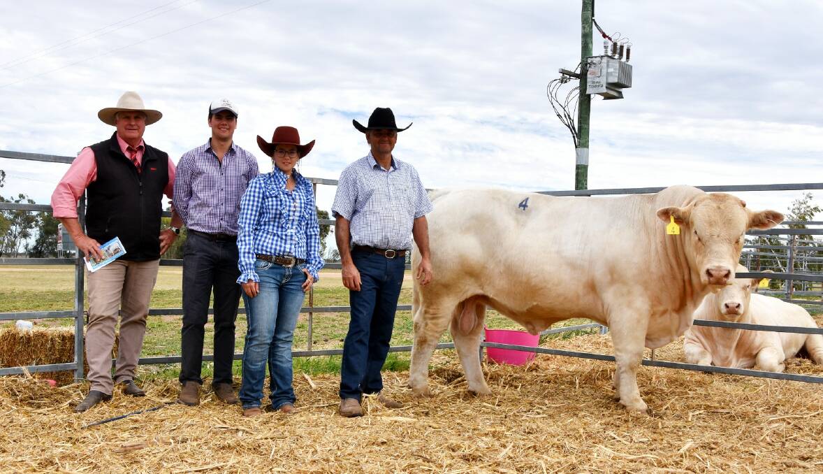  SALE TOPPER: 4 Ways Qupid (PS) sold for $52,500 to the Price family at Moongool Charolais at Yuleba (not pictured), pictured with Elders auctioneer Brian Wedemeyer, Rockhampton, and vendors David, Amy and Blake Whitechurch, 4 Ways Charolais, Inverell, NSW. Photos: Ben Harden 