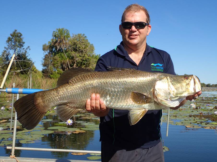 Dr Nathan Waltham, from TropWATER, with a barra from a previous electrofishing survey. Photo supplied.