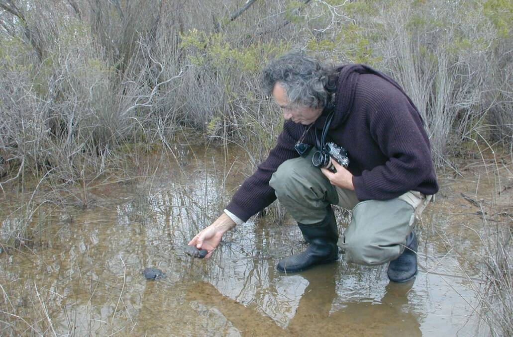 HIGH TECH: Dr Gerald Kuchling who has been researching and reintroducing the Western Swamp Tortoise for more than 30 years, radio tracks the tortoises to monitor their populations, survival rates and breeding success.