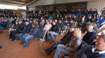 Holstein sale etched in record books