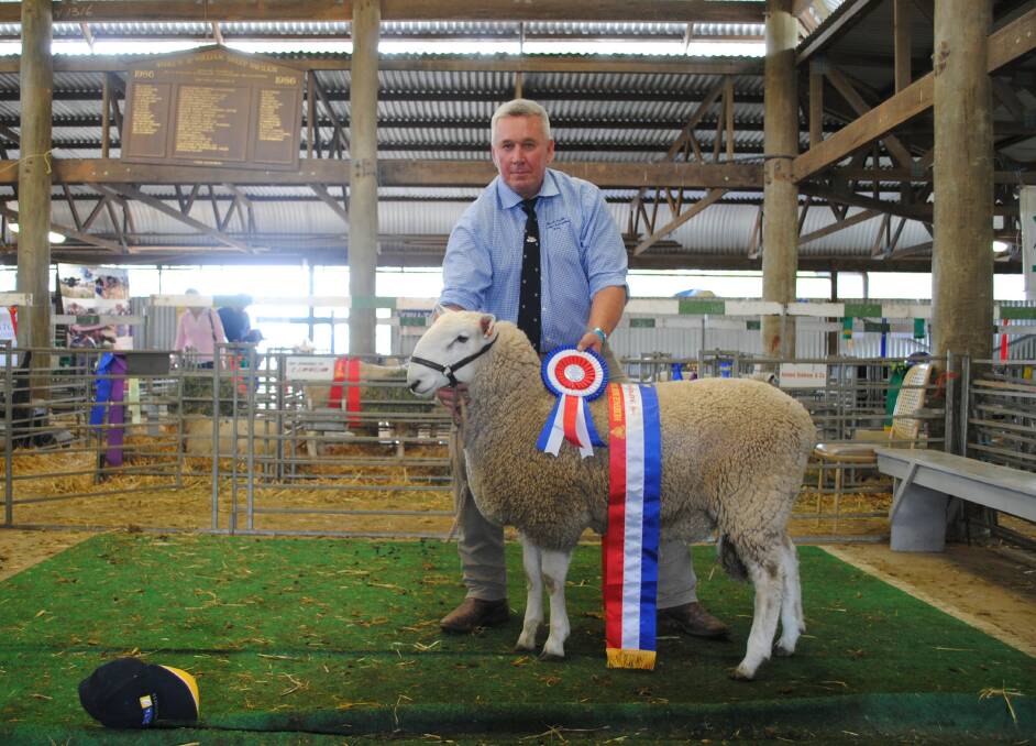 North South Border Leicester Stud's Michael Makeham with the champion ram of the show. 