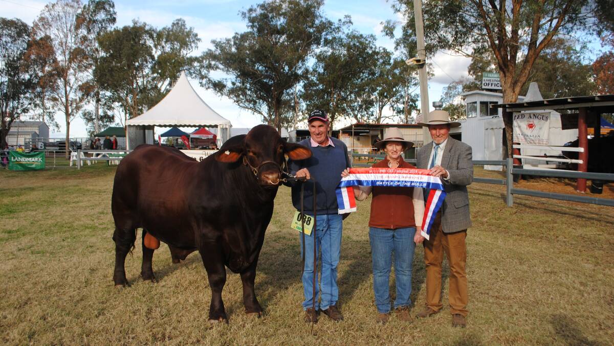 Craig Gapes, Rosemaree McCarthy and judge Graham Brown with Farmfest Battle of the Bulls grand champion Rosehill Norman 31. 