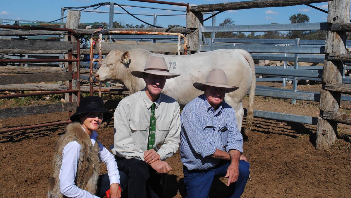 ANC Charolais' Norah and Andrew Cass with Chas Nobbs, Cordelia, Bauhinia and his $15,000 buy ANC Nitro.