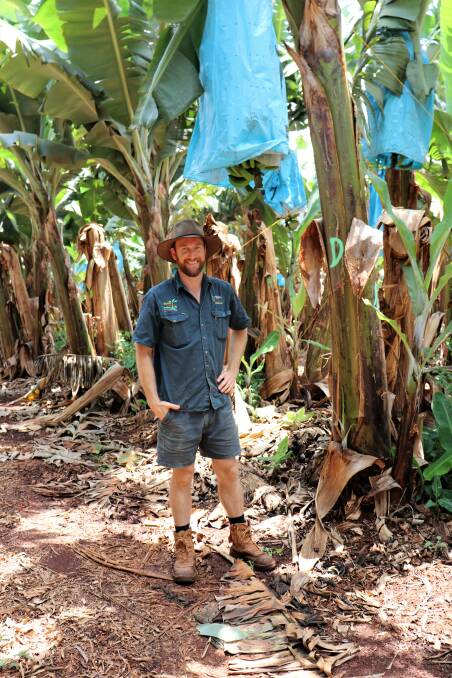 Atherton Tablelands grower Andrew Serra is among the Australian Banana Growers Council members calling for a hotel quarantine subsidy for agricultural workers. 