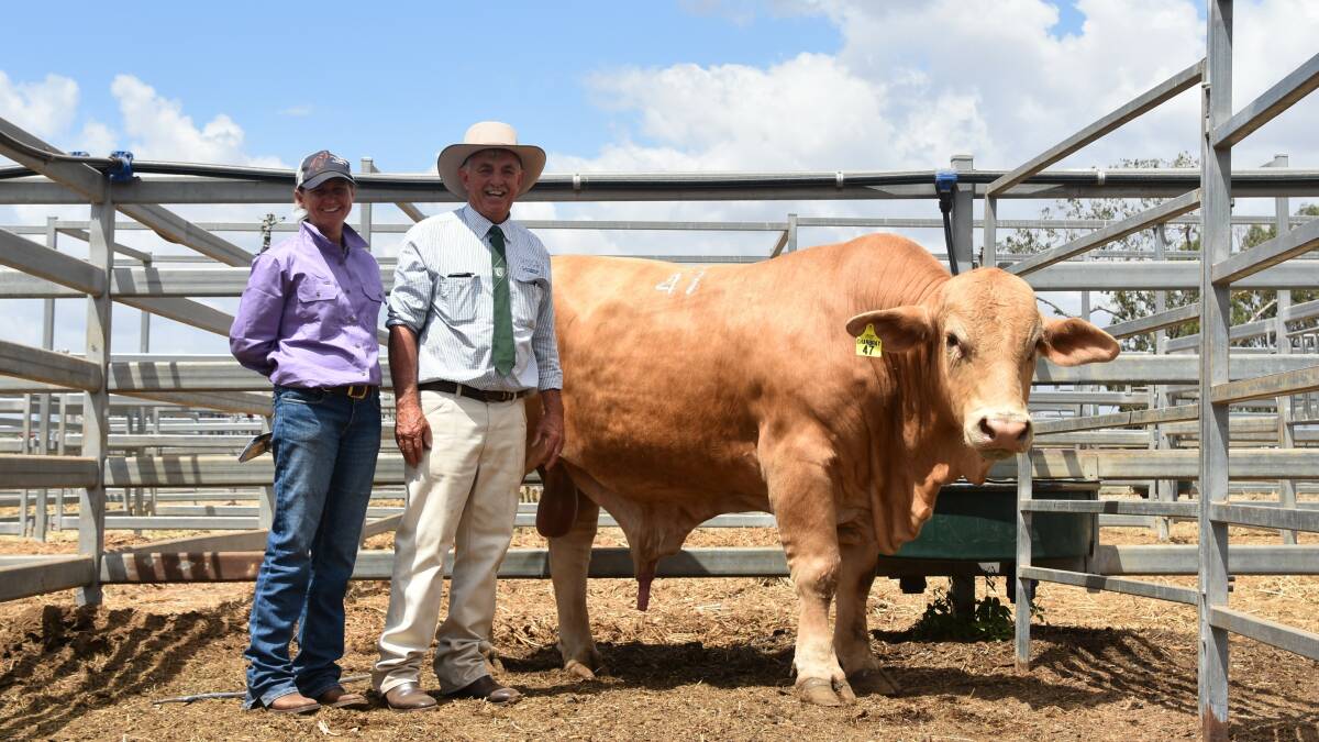 Greenfields Noah (P), with buyer Caroline Green, Jaccondoll, Barcaldine and vendor vendor Les Marshall, Jambin. Picture- Sheree Kershaw.