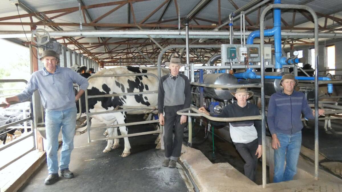 SUCCESS STORY: Dallas, Adrian, Glen, and Melvyn Zischke are among the 2019 winners for the Dairy Australia Milk Quality Awards. 
