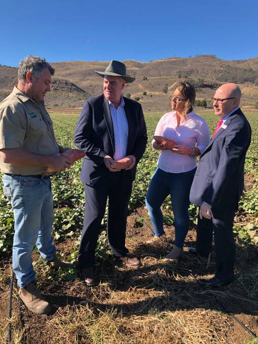  Australian Organic Farmers founder Anthony Bauer, Minister Mark Furner, Woolworths Assistant State Director Peta Nutley and Heritage Banks Peter Lock