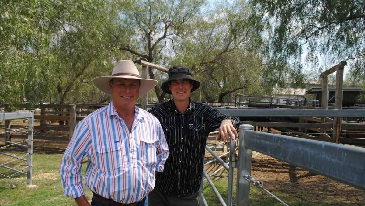 Eager buyers headed to North Toolburra, Warwick for the Ascot Spring Bull Sale. 