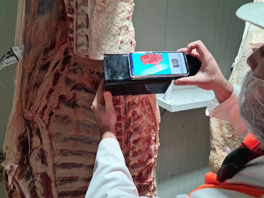 Technology has played an important role in the Beef Australia 2021 carcase competition due to challenges posed by COVID-19. 