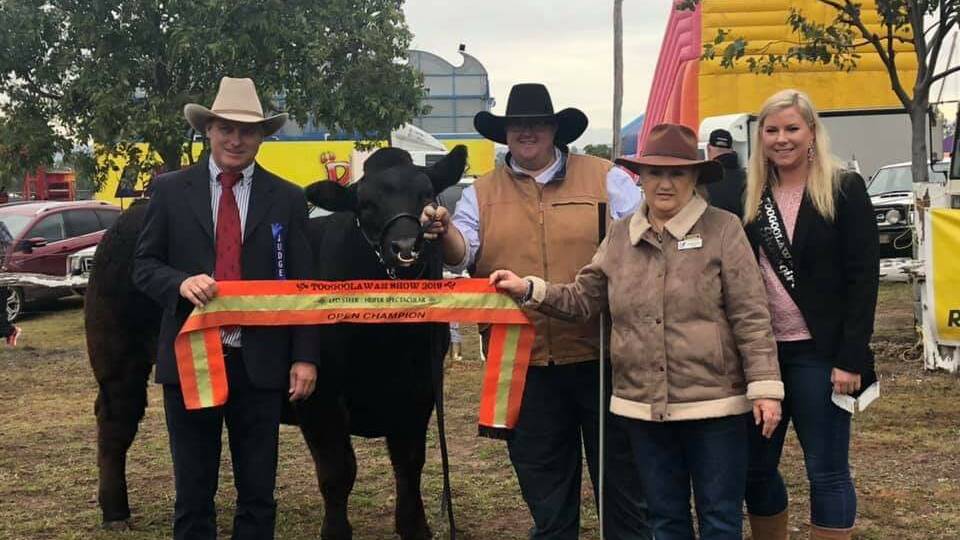 There was plenty of ringside action at the Toogoolawah Show, with 170 head of stud cattle competing. 